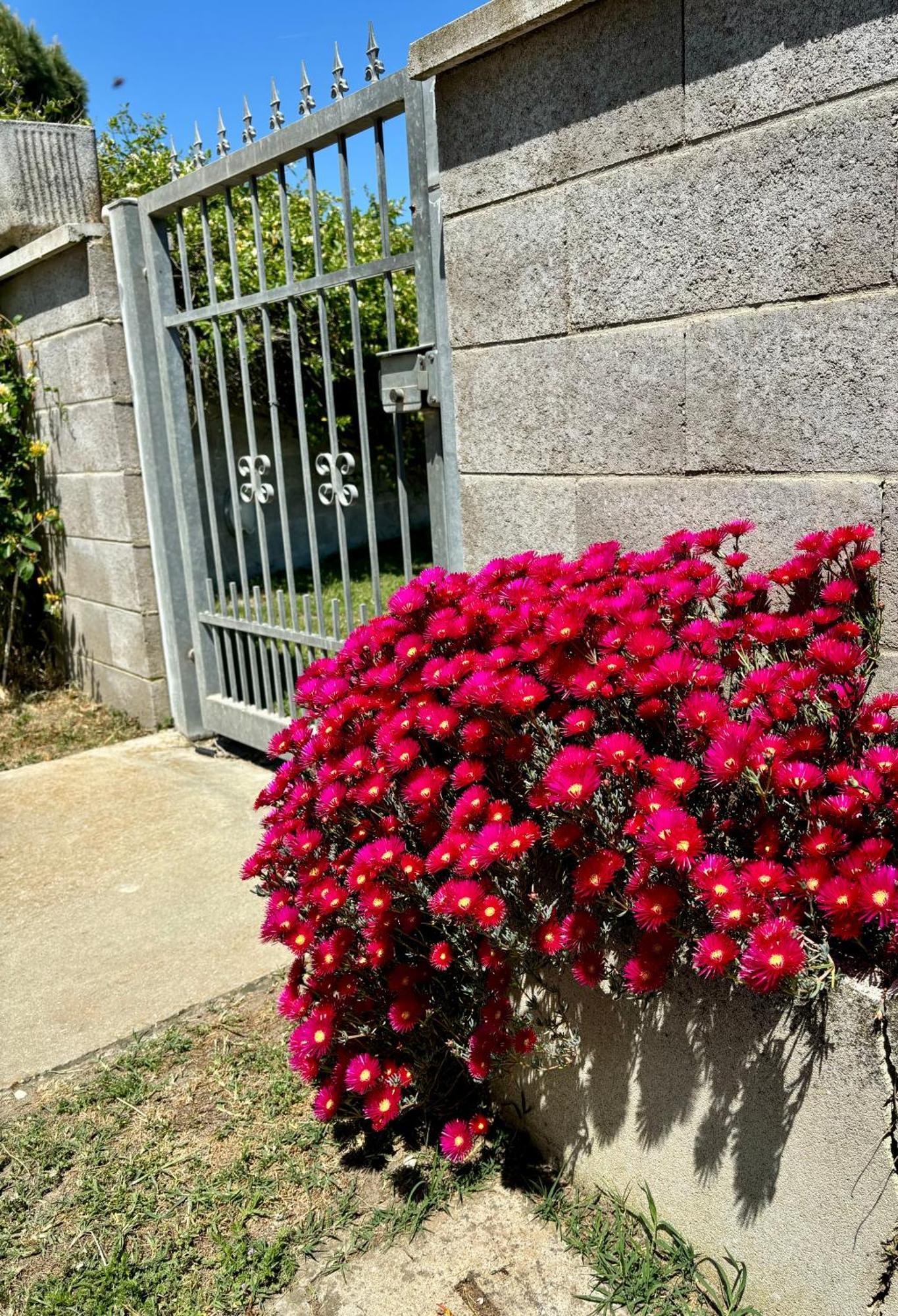 Tra Campagna E Mare Bed & Breakfast Lido delle Nazioni Dış mekan fotoğraf